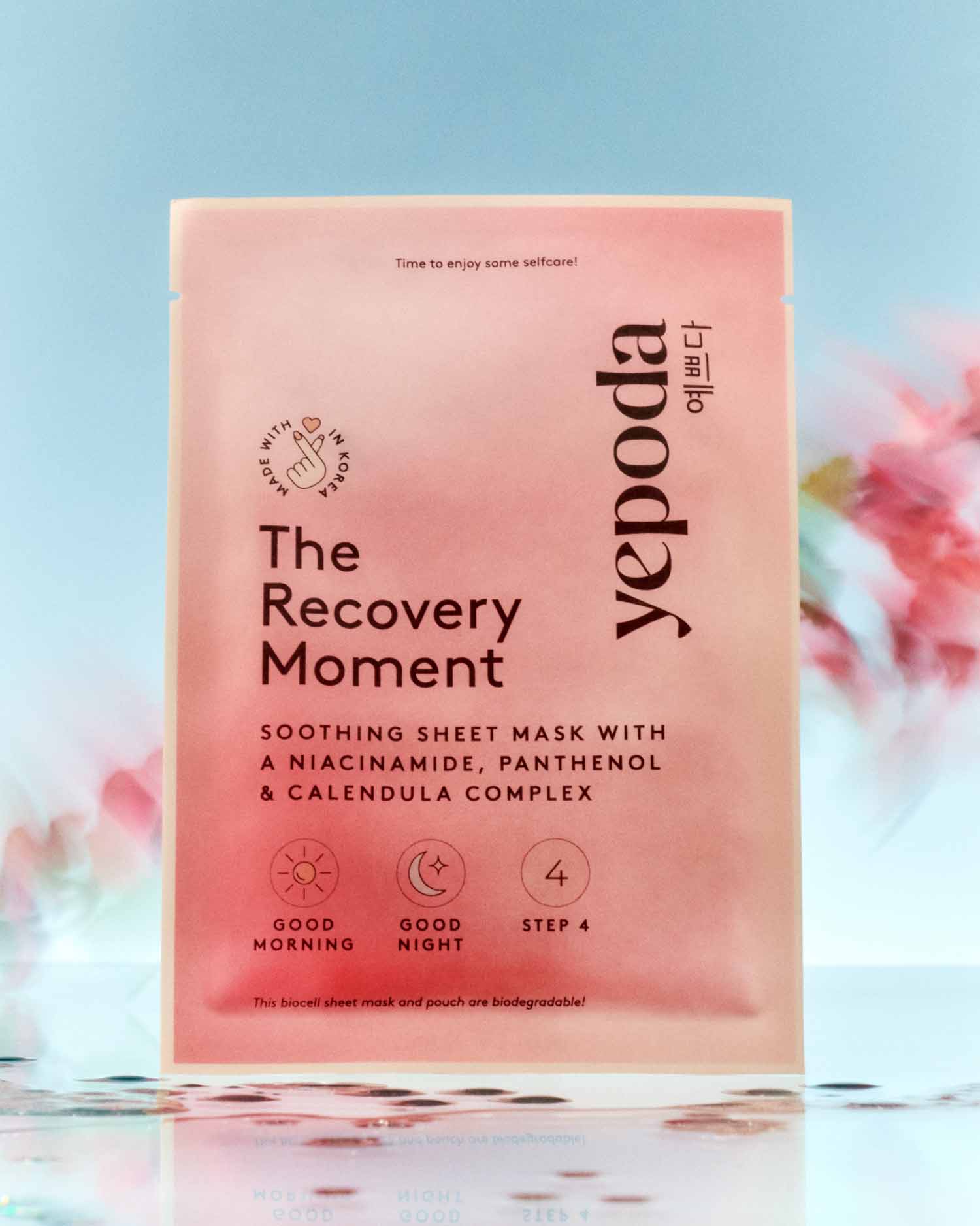 The Recovery Moment - Image 4